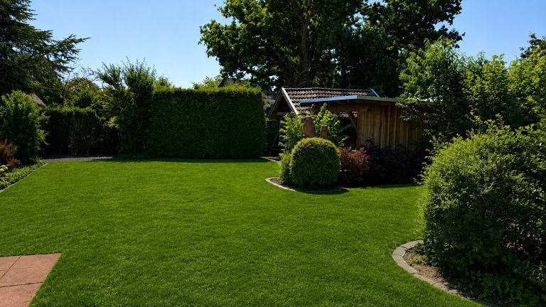 Garten mit Gartenhaus 768x432